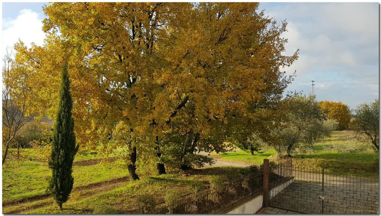 Villino Cortona - Casa Vacanze A Cortona Con Piscina Privata Wifi, Ac - Toscana - Nelle Vicinanze Perugia, Assisi, Montepulciano, Pienza, Siena 外观 照片
